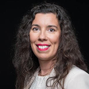 Gestionnaire formations